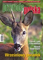 okłada najnowszego numeru Przyroda Polska